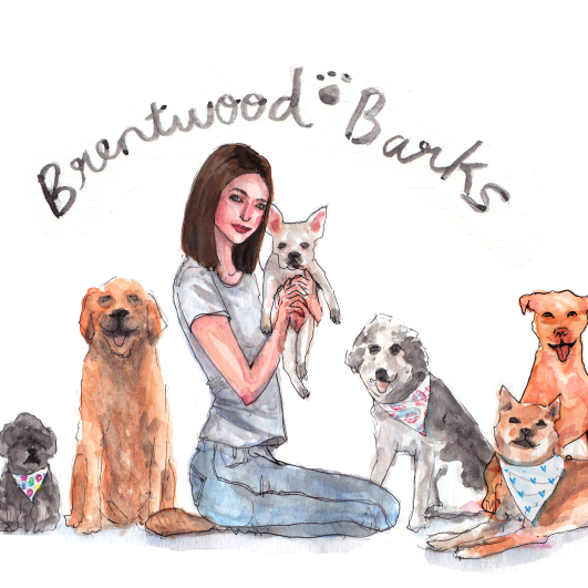 Brentwood Barks Pet Sitting Logo